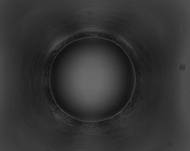 X0000093090775200710031437