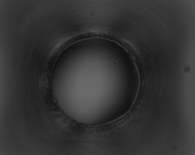 X0000093090776200710031437