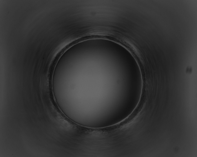 X0000093090779200710031437