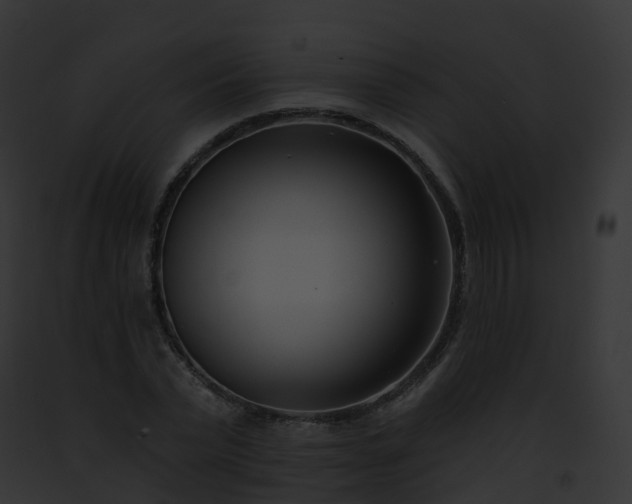 X0000093090783200710031437