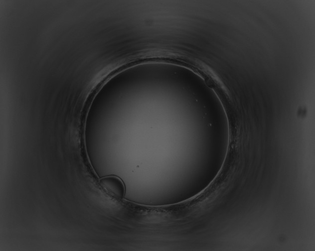 X0000093090786200710031437