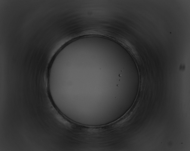 X0000093090796200710031437