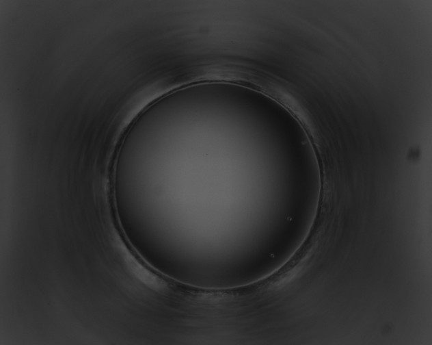 X0000093090803200710031437