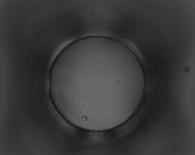 X0000093090804200710031437