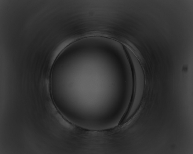 X0000093090812200710031437