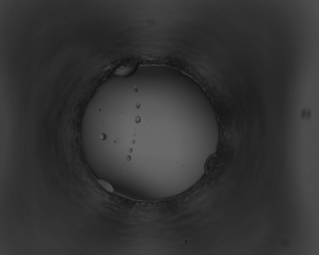 X0000093090817200710031436