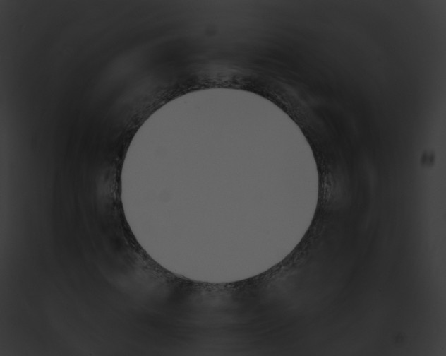 X0000093090820200710031436