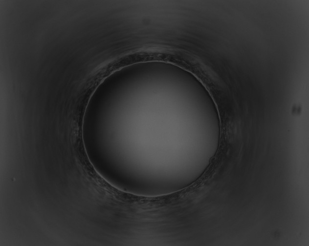 X0000093090821200710031436
