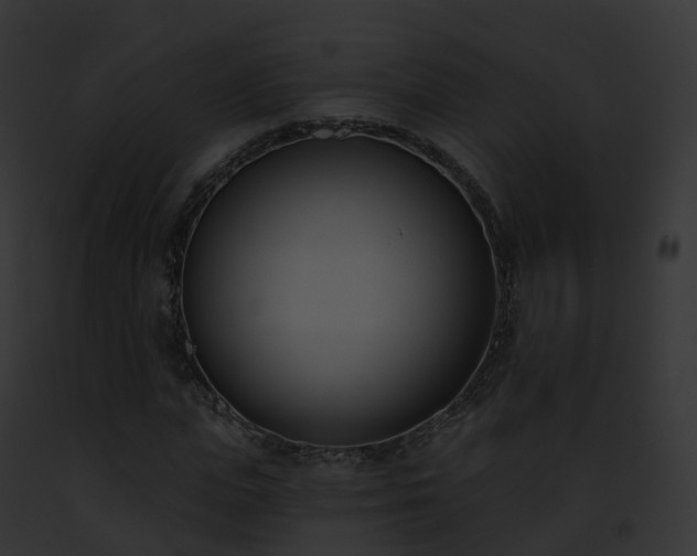 X0000093090823200710031436