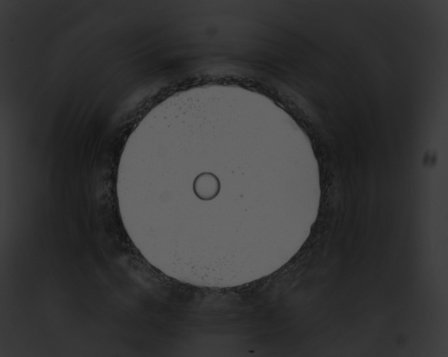 X0000093090824200710031436