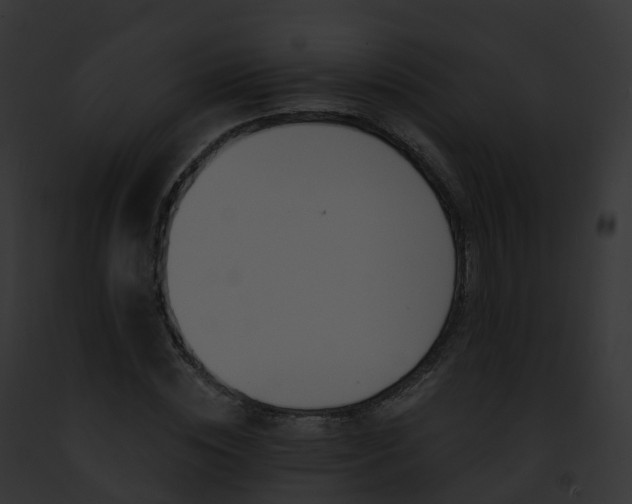 X0000093090828200710031436