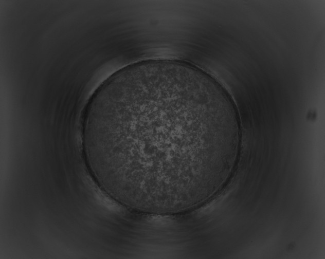 X0000093090835200710031436