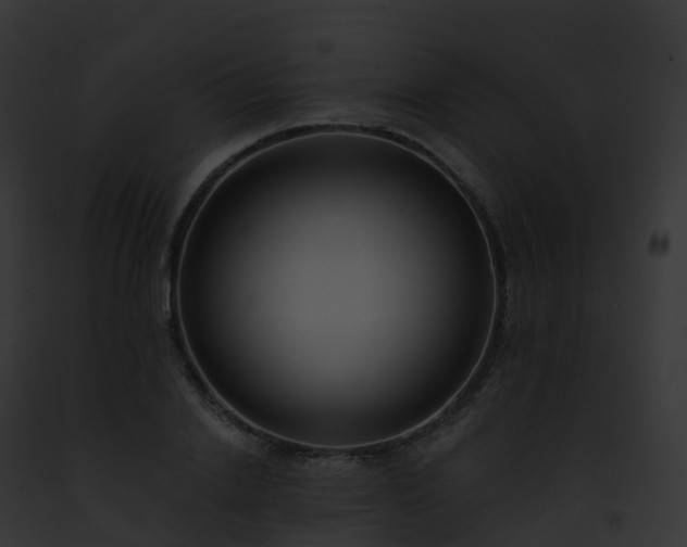 X0000093090838200710031436