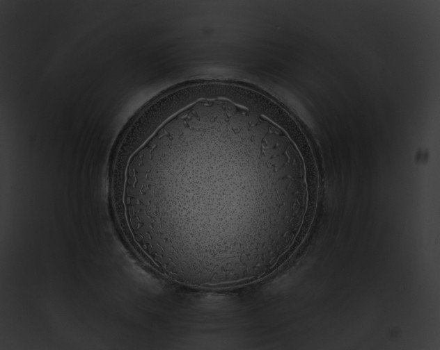 X0000093090839200710031436