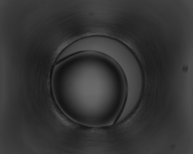 X0000093090842200710031436