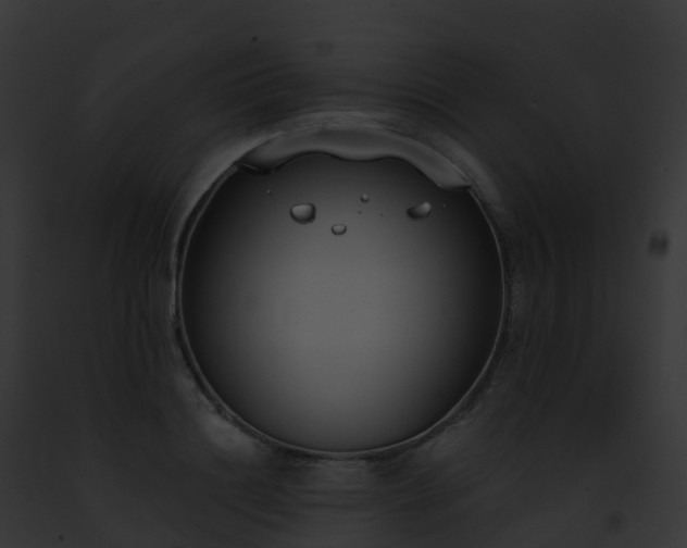 X0000093090844200710031436