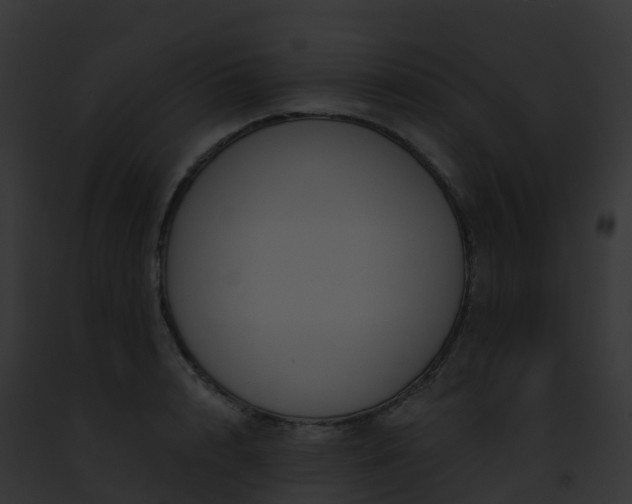 X0000093090848200710031436