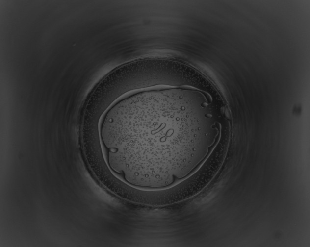 X0000093090851200710031437