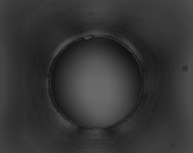 X0000093090853200710031437