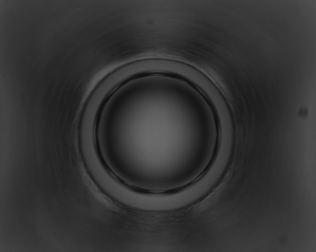 X0000093090854200710031437