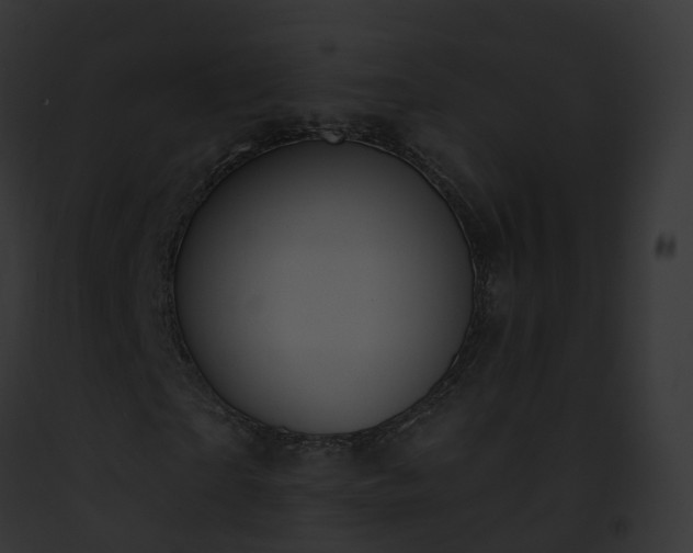 X0000093090865200710031436