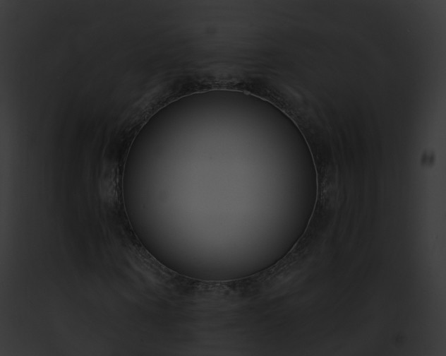 X0000093090866200710031436