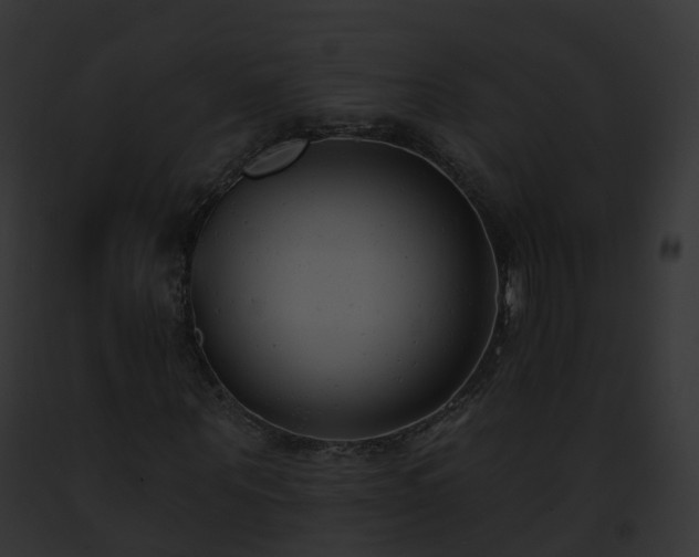 X0000093090867200710031436