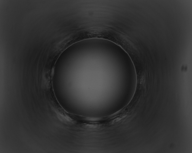 X0000093090868200710031436