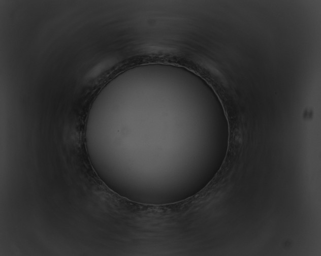 X0000093090869200710031436