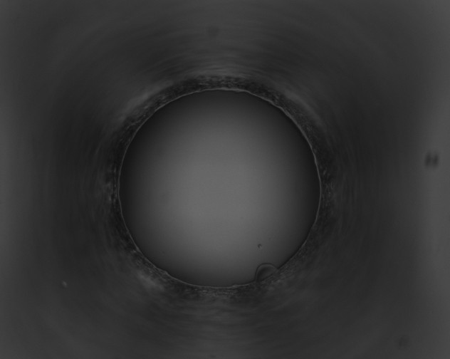 X0000093090870200710031436