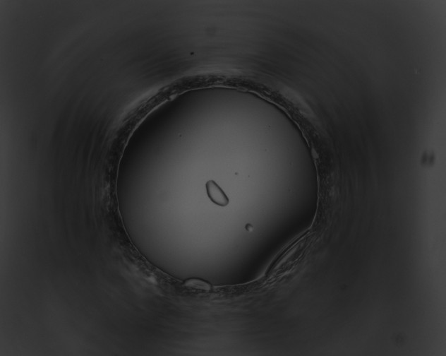 X0000093090872200710031436