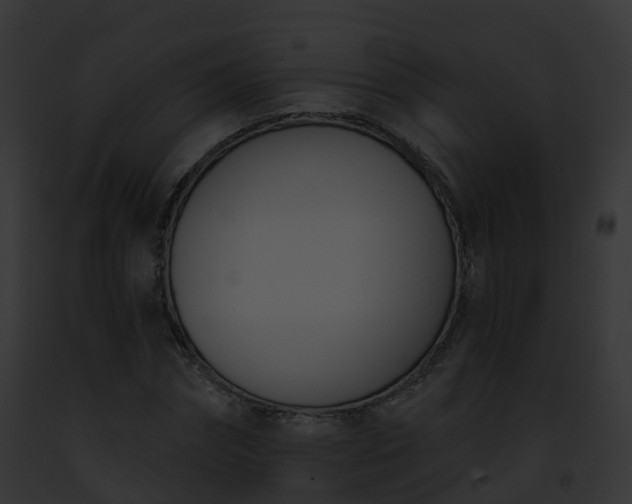 X0000093090874200710031436