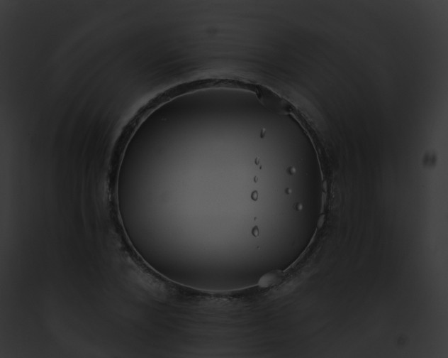 X0000093090880200710031436