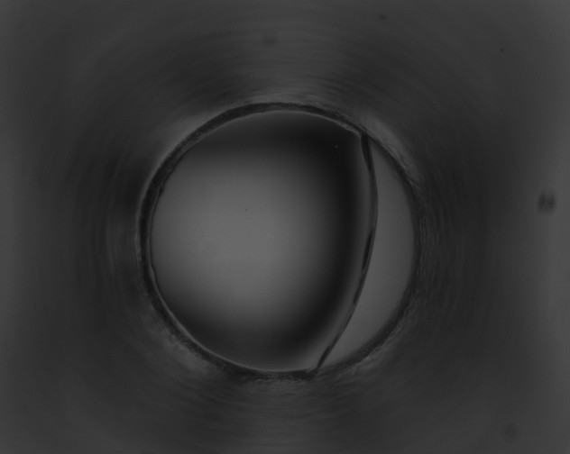 X0000093090884200710031436