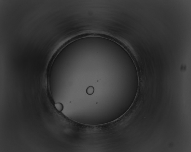 X0000093090887200710031436