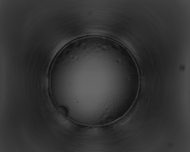 X0000093090891200710031436