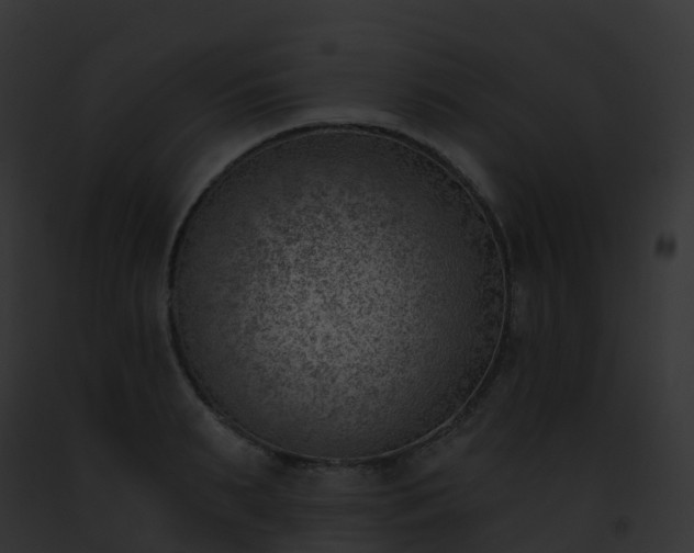 X0000093090895200710031436
