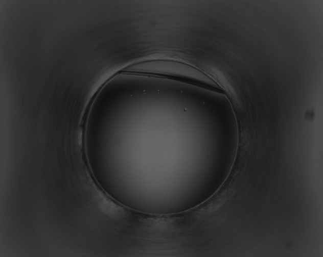 X0000093090900200710031436