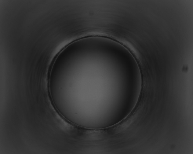 X0000093090902200710031436