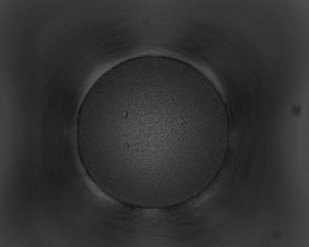X0000093090903200710031436