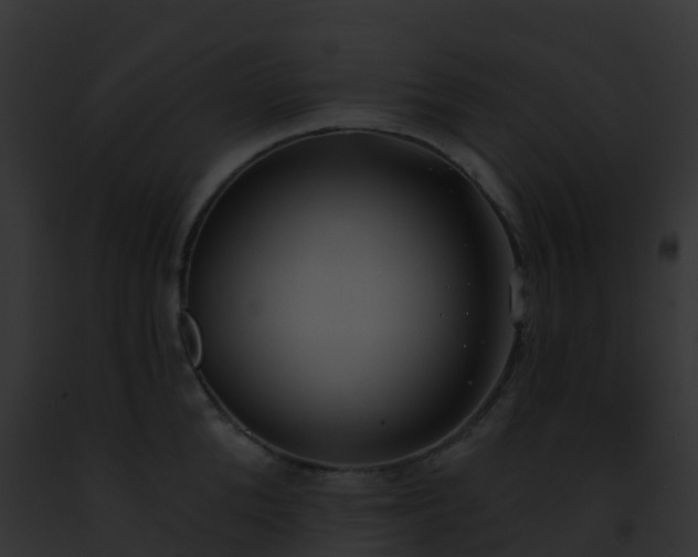 X0000093090904200710031436