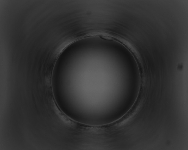 X0000093090905200710031436