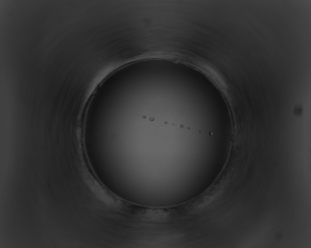 X0000093090907200710031436