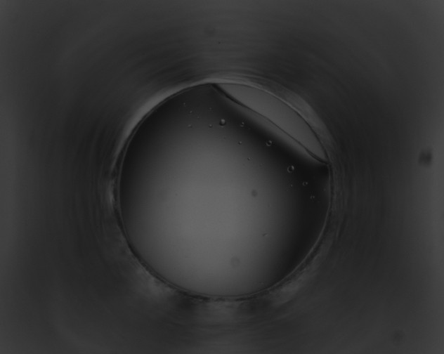 X0000093090908200710031436