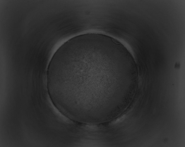 X0000093090911200710031436