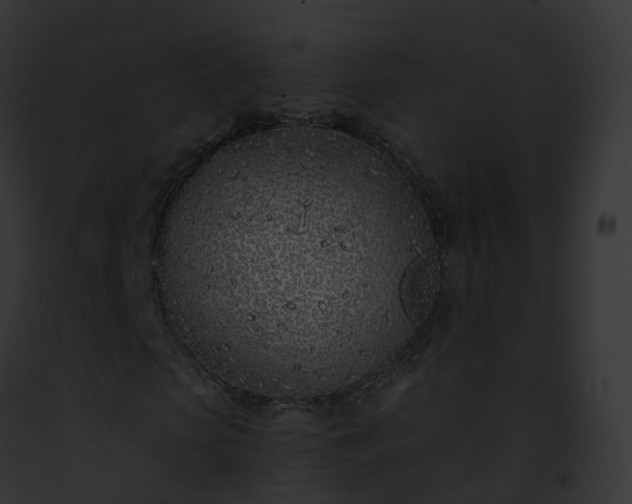 X0000093090913200710031435