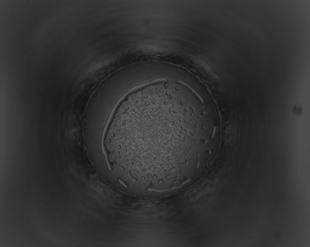 X0000093090917200710031435