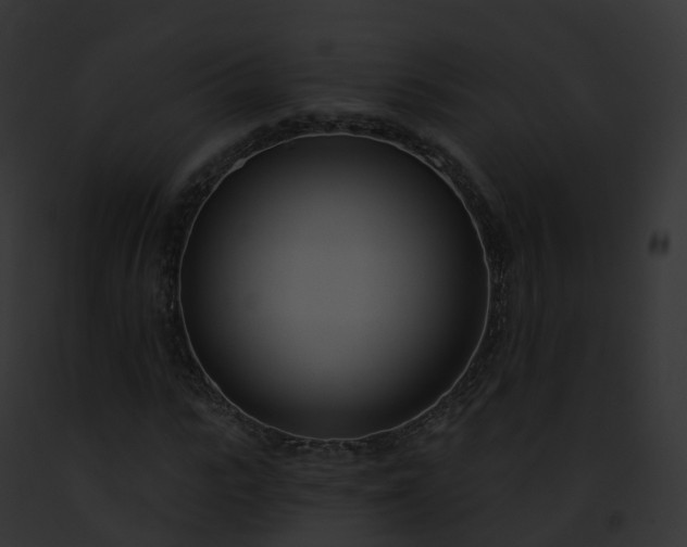 X0000093090919200710031435