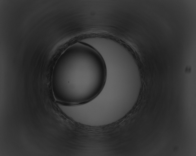 X0000093090920200710031435