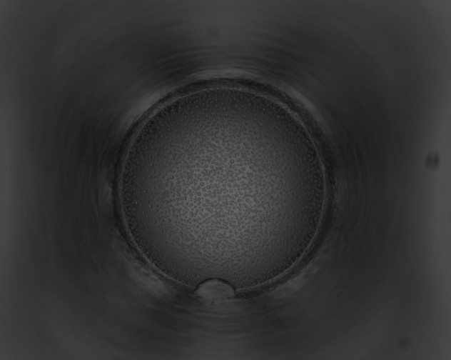 X0000093090921200710031435